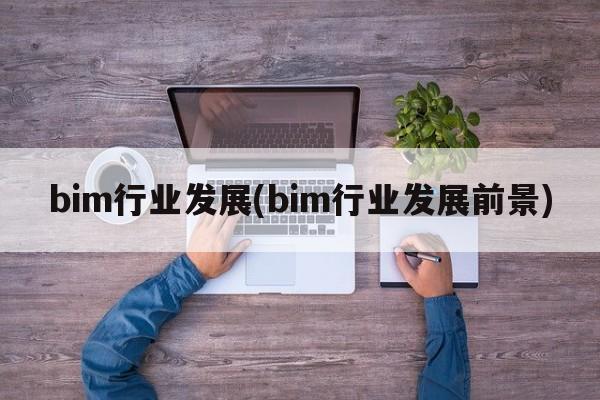 bim行业发展(bim行业发展前景)