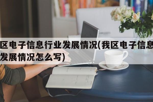 我区电子信息行业发展情况(我区电子信息行业发展情况怎么写)